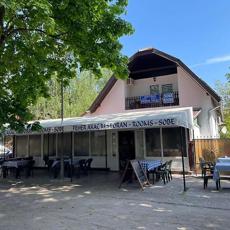 Feher Akac Guest House Palić Extérieur photo